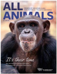 Chimps Grace the Cover of All Animals Magazine - Project Chimps
