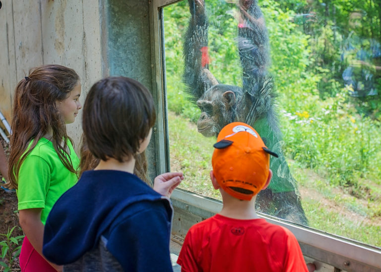 Visitors meeting Noel through the habitat viewing window during Discovery Days.
