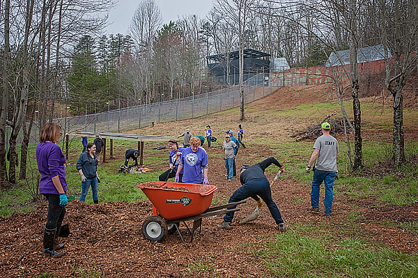 Volunteers help clear the outdoor habitat.