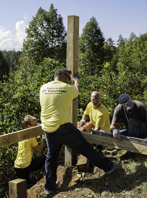 Project Chimps volunteer from EY builds a chimpanzee structure