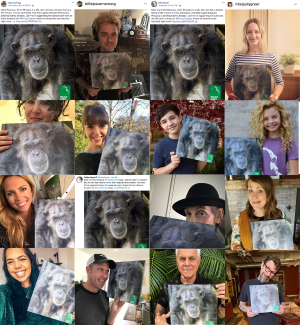 Project Chimps supporters for Giving Tuesday 2018