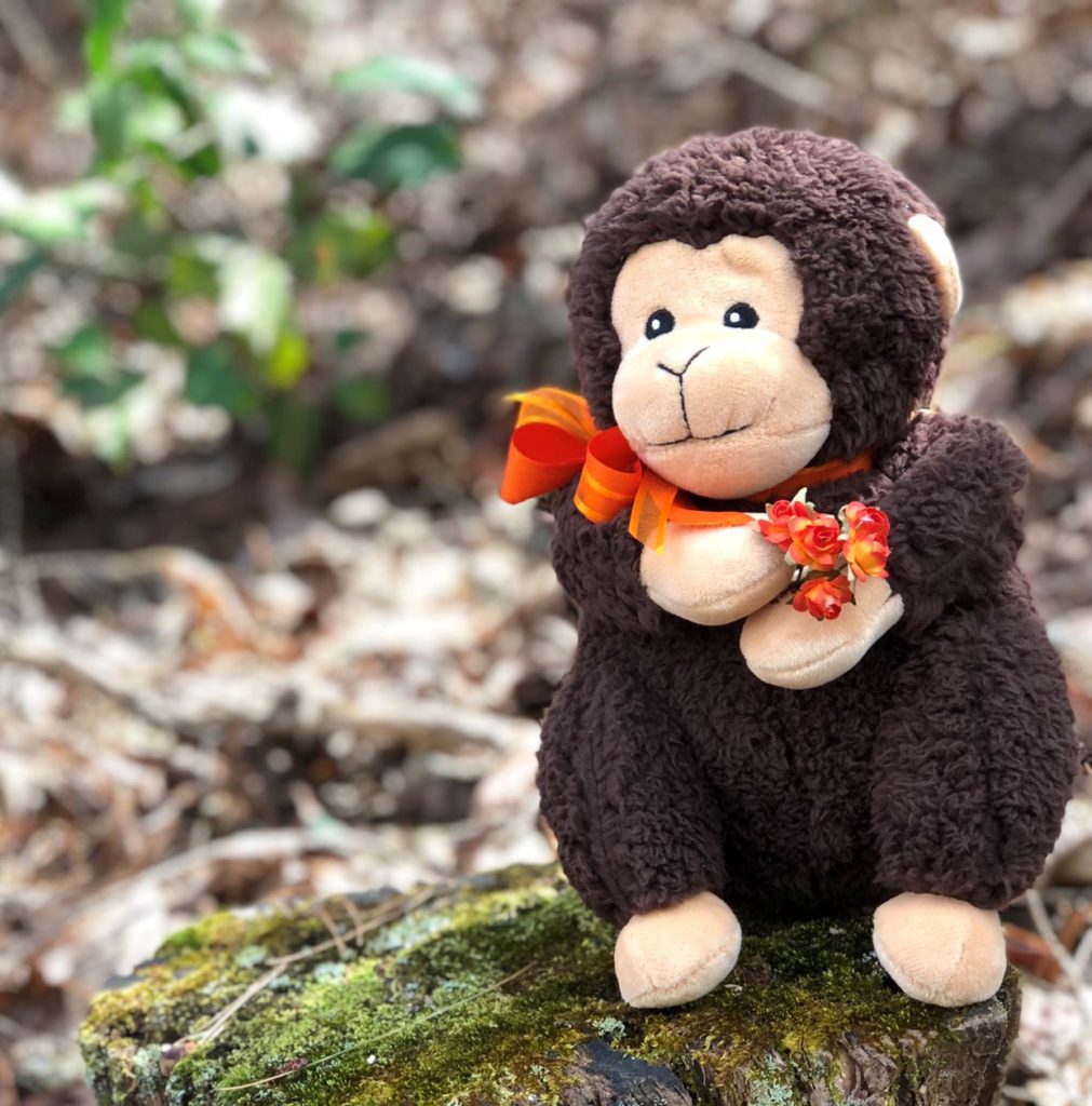 Mothers Day Plush Chimp Toy