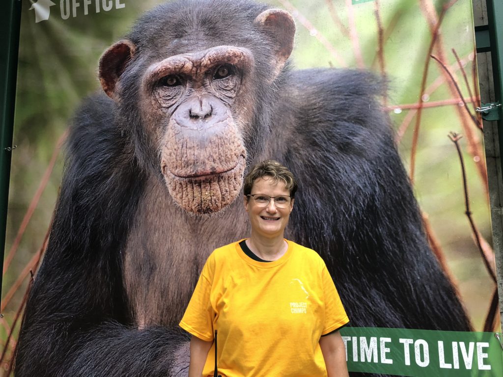 Project Chimps Volunteer Harriet Gallu