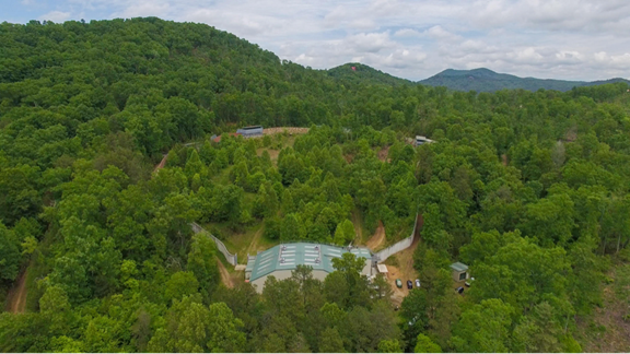 Project Chimps sits on 236 acres in the Blue Ridge Mountains.