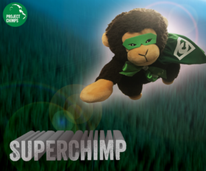 Plush chimp toy with green mask and cape