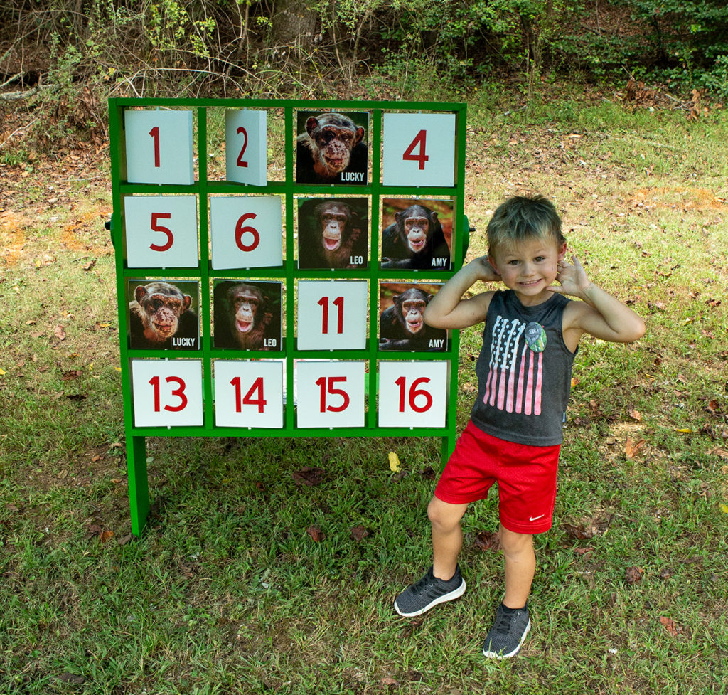 Young boy in front of chimpanzee game