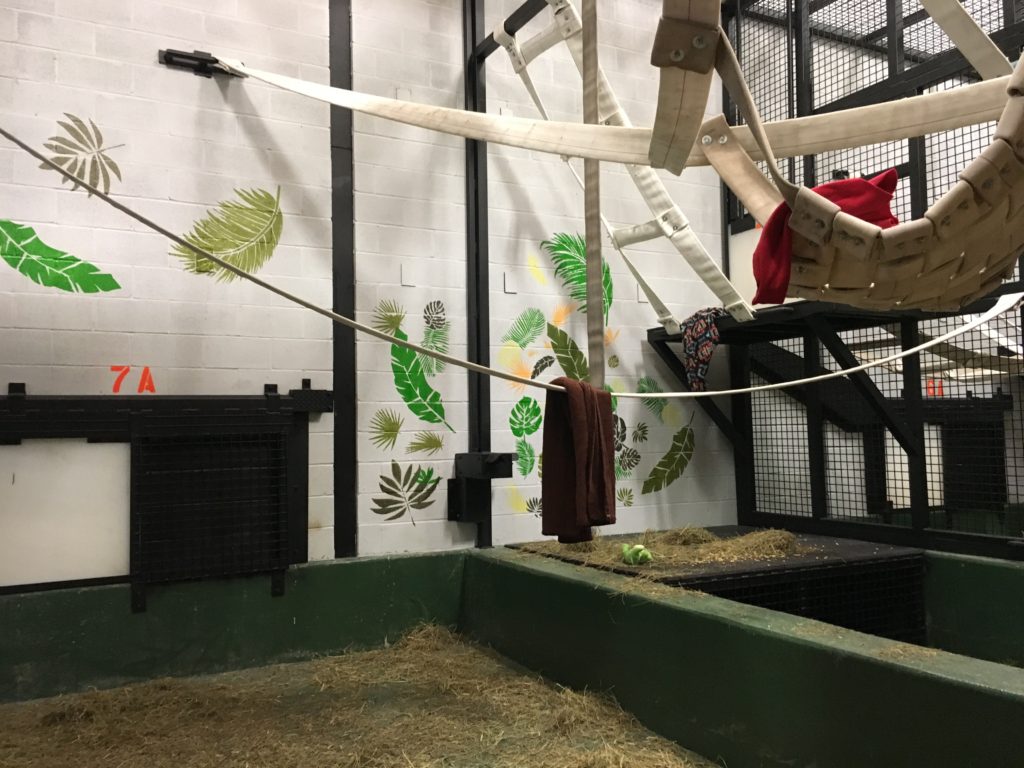 interior room with fire hose ropes and hammocks for chimps