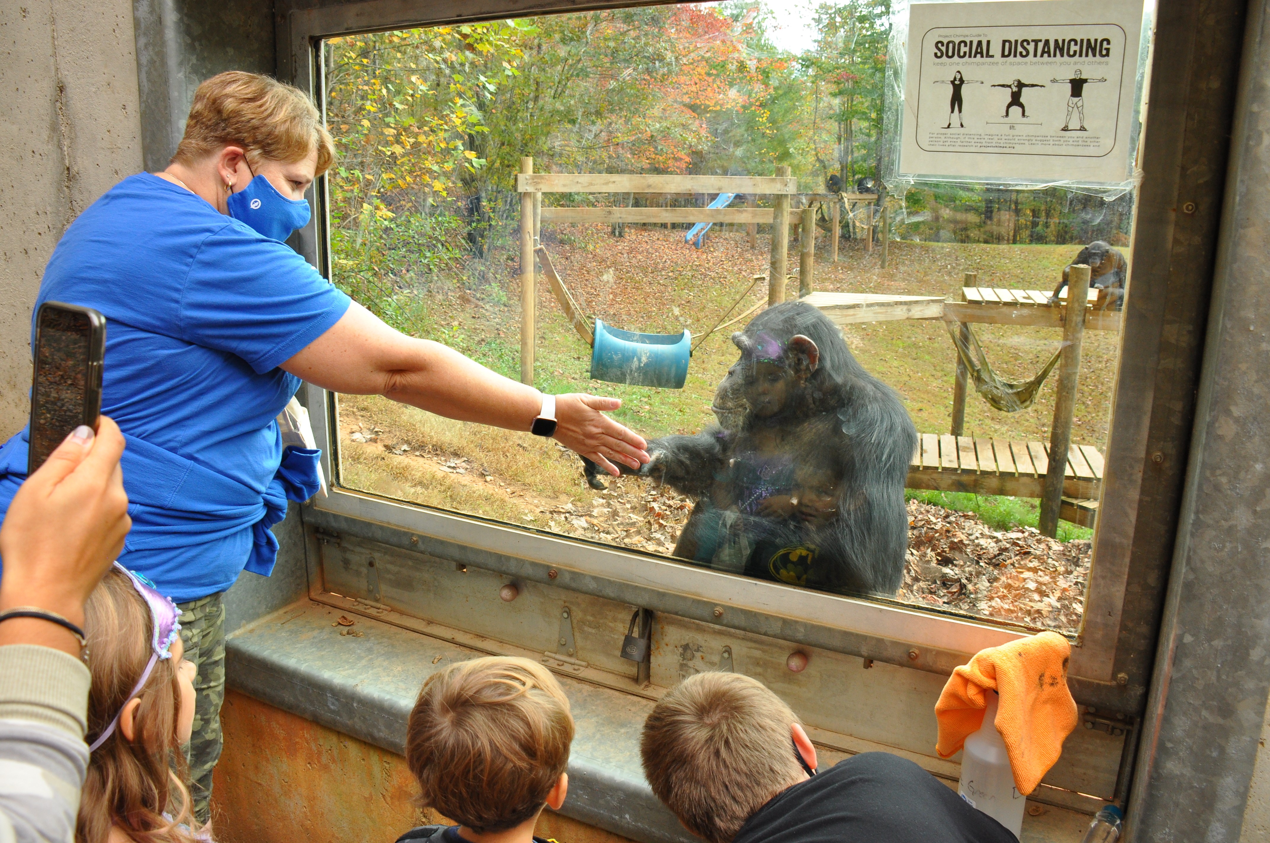 humans meeting a chimpanzee at a window
