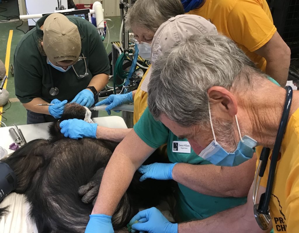 Josh receiving his full exam.