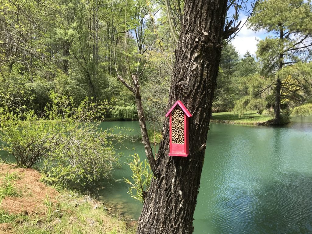 Mason Bee Hotel made by scouts that you can find throughout the Pollinator Garden.