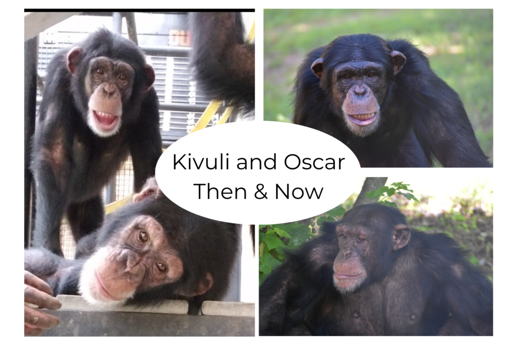 Kivuli and Oscar Then & Now