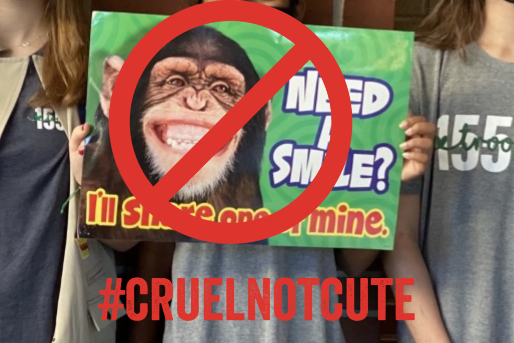 #cruelnotcute