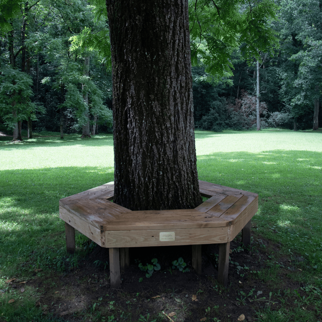 Tree Wrap Bench