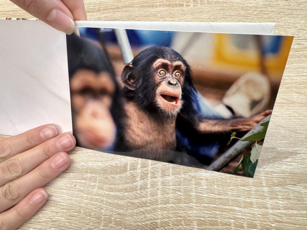 A photo of Lindsey as a youngster.