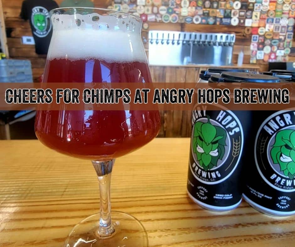 Cheers for Chimps Angry Hops - Website Square