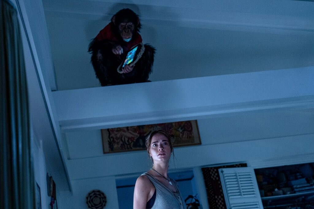 Still image from Primate (2026) directed by Johannes Roberts.