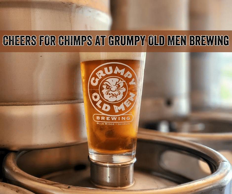Cheers for Chimps Grumpy Old Men - Website