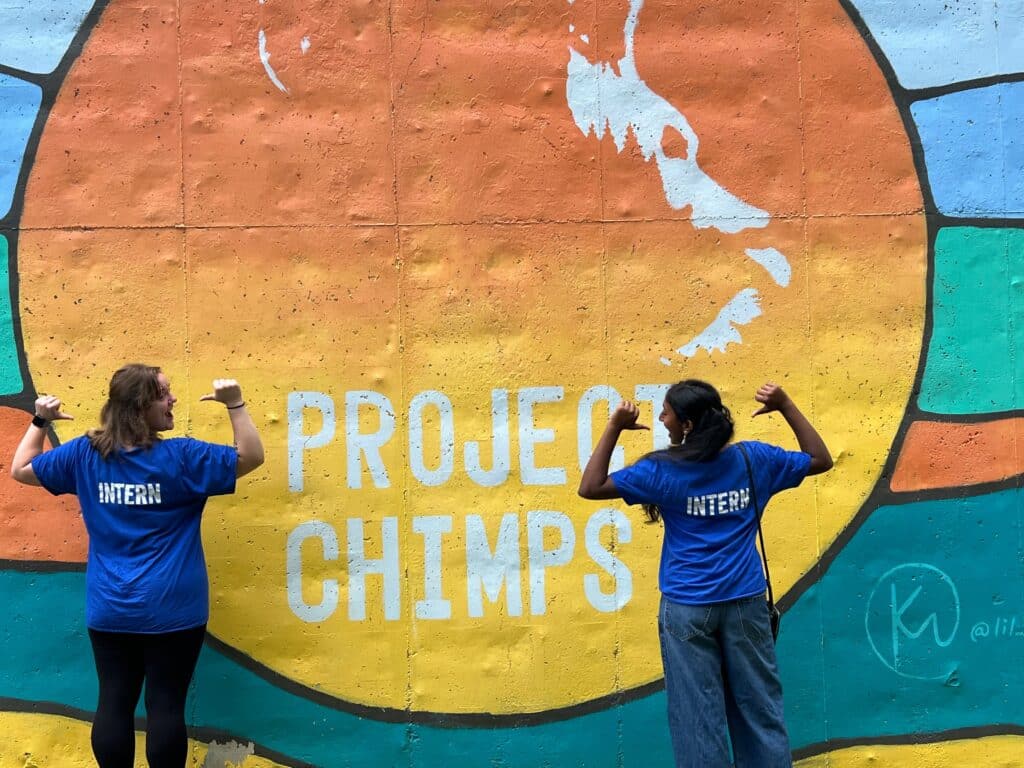project-chimps-mural
