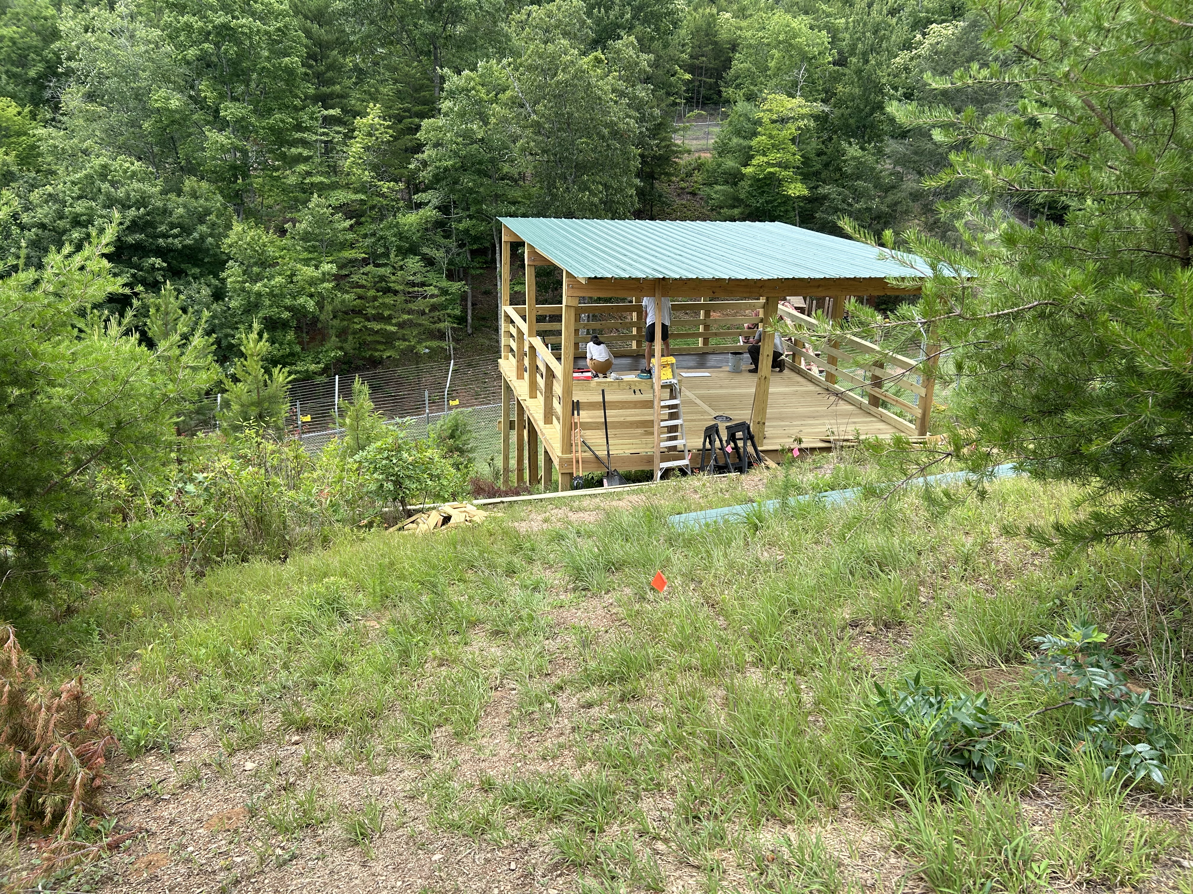 the perch