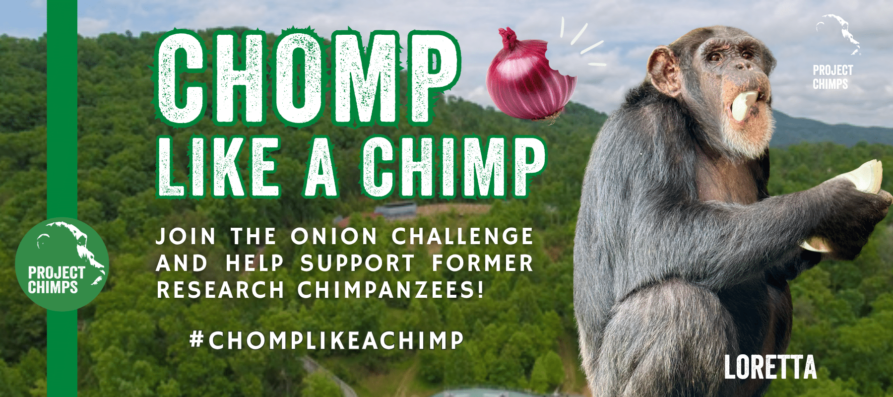 Chomp Like a Chimp
